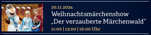 Weihnachtsmaerchenshow